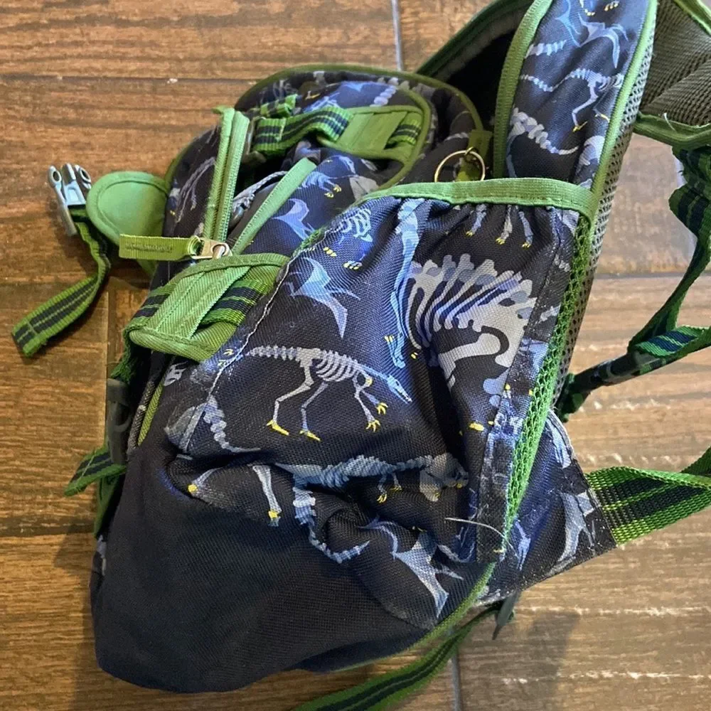 Pottery Barn Kids Bag pack